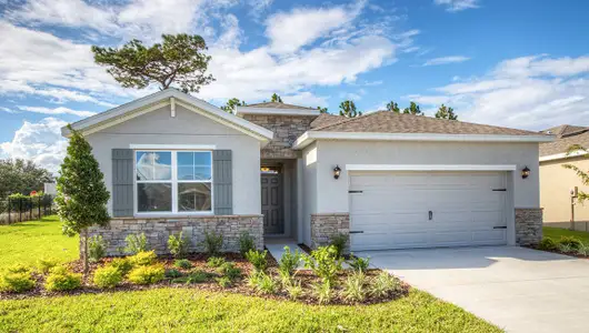 New construction Single-Family house Zephyrhills, FL 33540 - photo 0