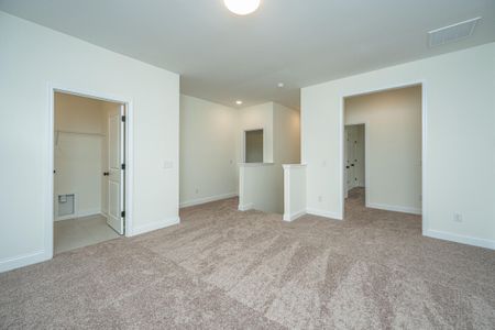 New construction Single-Family house 127 Augusta Pass Dr, Ridgeville, SC 29472 plan Adams - image 9