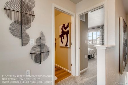 New construction Single-Family house 10251 E 62Nd Place, Denver, CO 80238 - photo 14 14