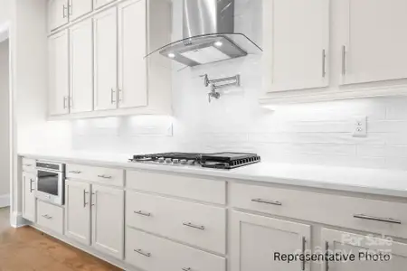 New construction Single-Family house 1069 Sage Pine Cir, Clover, SC 29710 - image 20