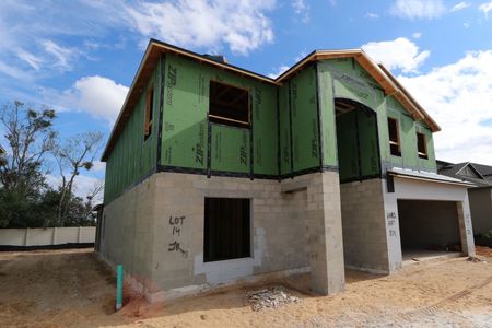 New construction Single-Family house 12134 Hilltop Farms Dr, Dade City, FL 33525 Malibu- photo 41 41