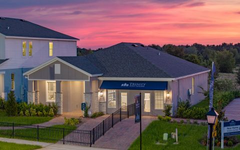 New construction Single-Family house 6725 Golden Eagle Blvd, Howey-in-the-Hills, FL 34737 plan Bennet - image 5