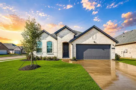 New construction Single-Family house 2902 Italia Ter, Princeton, TX 75407 - image
