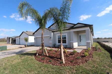 New construction Single-Family house 3142 Adams Cross Dr, Zephyrhills, FL 33540 Picasso- photo 91 91