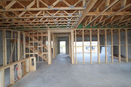 New construction Single-Family house 38326 Tobiano Loop, Dade City, FL 33525 Casanova- photo 15 15