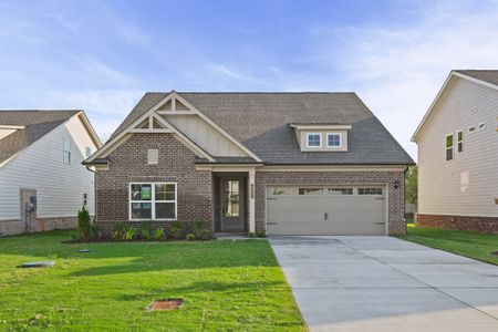 New construction Single-Family house 5921 Steiner Wy, Murfreesboro, TN 37153 plan The Bluff - image 2