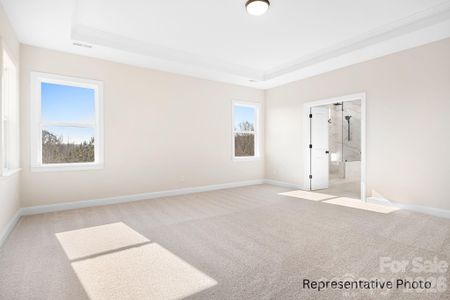 New construction Single-Family house 4172 Millstream Rd, Unit 137, Denver, NC 28037 - image 18