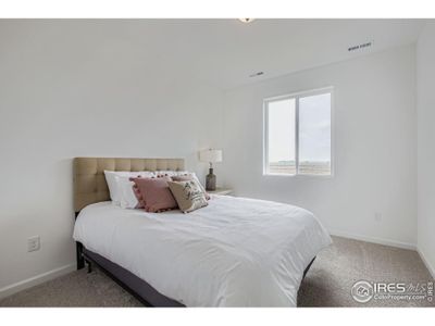 New construction Single-Family house 1809 Baltusrol Dr, Fort Collins, CO 80524 plan Antero - image 8