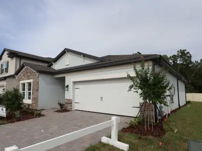 New construction Single-Family house 7915 Painted Sky Place, Land O Lks, Land O' Lakes, FL 34637 plan Hartford  III - image