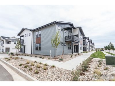 New construction Multi-Family house 2120 Falling Leaf Dr, Unit 1, Windsor, CO 80550 Ford- photo 1 1