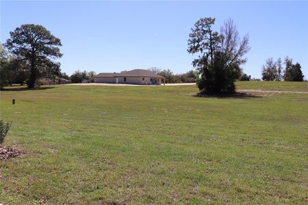 New construction Single-Family house 1032 E Allegrie Dr, Inverness, FL 34453 null- photo 45 45