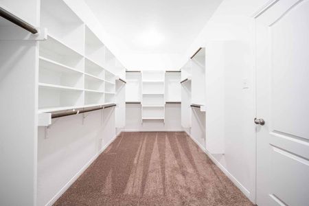 New construction Single-Family house 1312 Brody Wy, Salado, TX 76571 plan Nixon - image 14