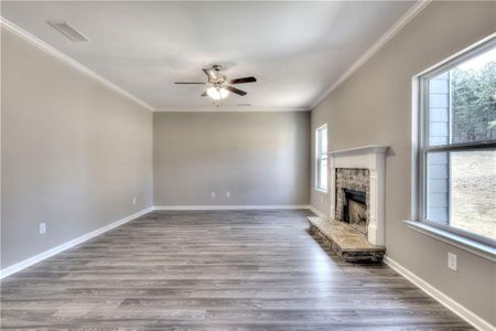 New construction Single-Family house 169 Elivia Way, Dallas, GA 30132 null- photo 14 14