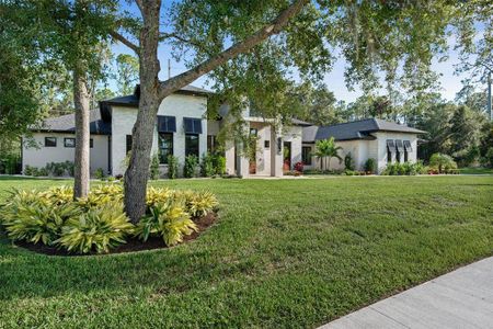 New construction Single-Family house 3106 Crossing Pine Ln, New Smyrna Beach, FL 32168 - image