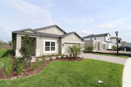 New construction Single-Family house 31229 Denham Ridge Ln, Wesley Chapel, FL 33545 Newport II- photo 149 149