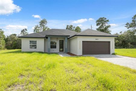 New construction Single-Family house 3412 Sw 165Th Lp, Ocala, FL 34473 - image