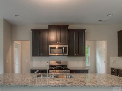 Indian Grove by Sunrise Builders, Inc in Locust Grove - photo 6 6