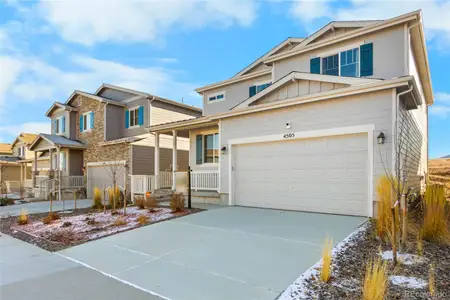 New construction Single-Family house 4505 Cholla Trl, Castle Rock, CO 80104 - image