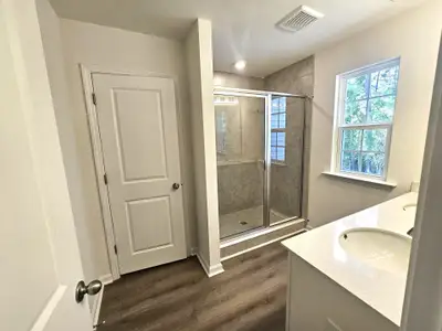 New construction Single-Family house 437 Cadbury Lp, Summerville, SC 29486 - image