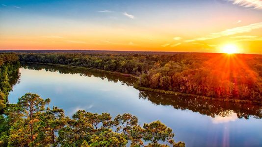 New construction Single-Family house 231 Navasota Narrows Ct, Conroe, TX 77304 plan Bristol Plan - image 14