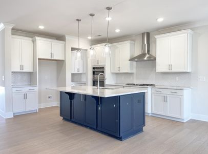 New construction Single-Family house 1716 Constitution Ln, Moore, SC 29369 plan Davidson - image 6