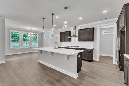 New construction Single-Family house 9101 Dupree Meadow Dr, Angier, NC 27501 plan The Hampton - image 9