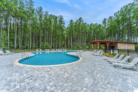 New construction Single-Family house 476 Rowley Lane, Summerville, SC 29486 Nantahala- photo 46 46