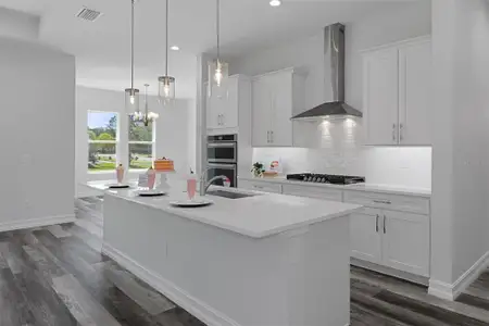 New construction Single-Family house 19364 Sheltered Hill Dr, Brooksville, FL 34601 - image 5