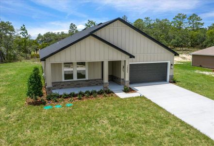 New construction Single-Family house 15095 Snowy Owl Ave, Weeki Wachee, FL 34614 - image