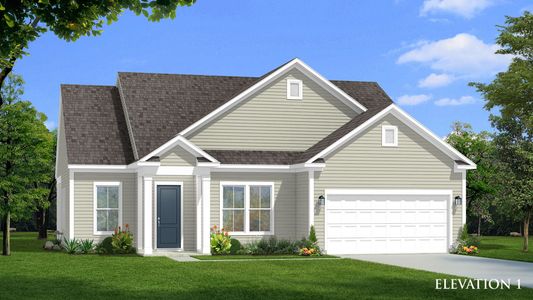 New construction Single-Family house 8004 Trailhead Lane, Awendaw, SC 29429 - photo 0