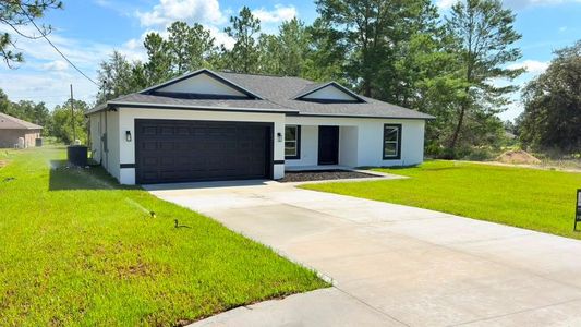 New construction Single-Family house 17 Malauka Run Dr, Ocklawaha, FL 32179 - image