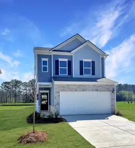 New construction Single-Family house 100 Andros Lp, Dalton, GA 30721 - image