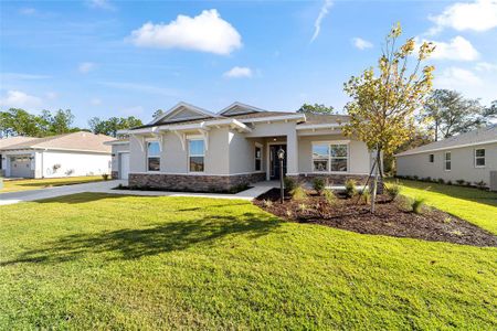 New construction Single-Family house 10261 Sw 105Th Ct, Ocala, FL 34481 - image