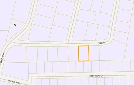 New construction Single-Family house 234 Elm St, Winona, TX 75792 - image