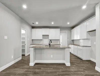 New construction Single-Family house 4424 Aralia Dr, Fort Worth, TX 76036 - image 6