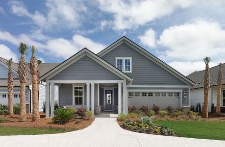 New construction Single-Family house 2337 Bay Strip Dr, Charleston, SC 29492 plan Prestige - image