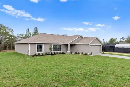 New construction Single-Family house 12399 Piping Plover Ave, Weeki Wachee, FL 34614 - image