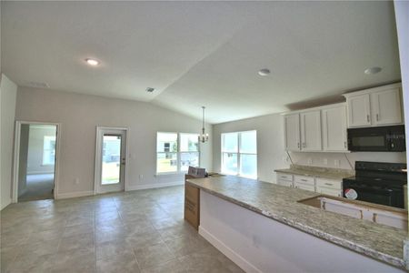 New construction Single-Family house 171 Bittern Loop, Inverness, FL 34453 1970- photo 8 8