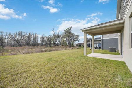 New construction Single-Family house 37488 Williamette Way, Zephyrhills, FL 33540 null- photo 24 24