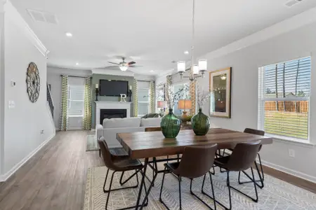 Stratford Station by Smith Douglas Homes in Lebanon - image 5