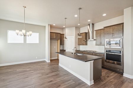 New construction Single-Family house 21295 E 61St Dr, Aurora, CO 80019 The Sloan- photo 13 13