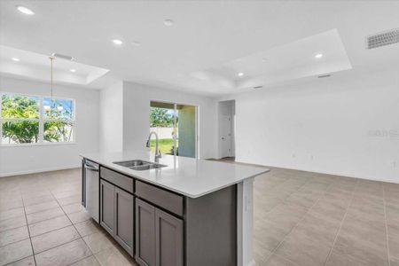 New construction Single-Family house 9581 Vibrant Ln, Venice, FL 34292 - image 6