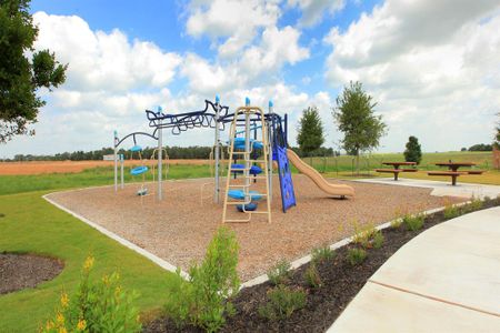 The Colony by Terrata Homes in Bastrop - photo 6 6