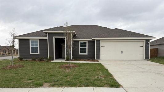 New construction Single-Family house 508 American Elm Dr, Josephine, TX 75189 - image