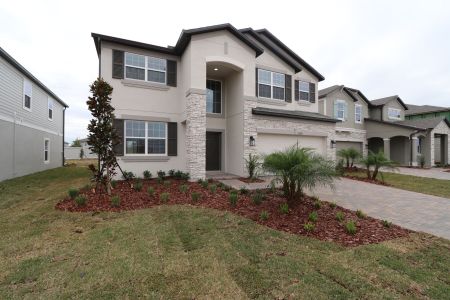 New construction Single-Family house 38338 Tobiano Loop, Dade City, FL 33525 Mira Lago- photo 132 132