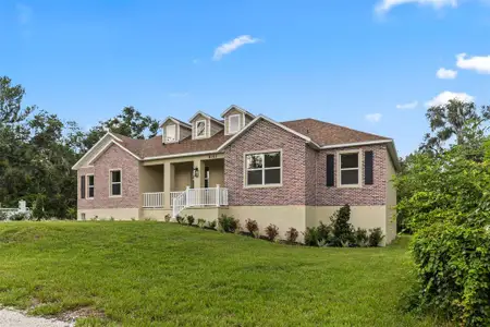 New construction Single-Family house 8312 Revels Rd, Riverview, FL 33569 - image