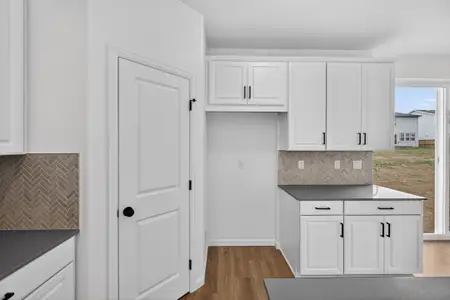 New construction Single-Family house 28405 E 4Th Ave, Watkins, CO 80137 plan Buena Vista - image 6