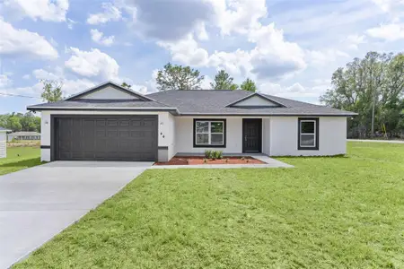 New construction Single-Family house 44 Malauka Dr, Ocklawaha, FL 32179 - image