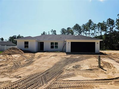 New construction Single-Family house 6224 Sw 134Th Lp, Ocala, FL 34473 - image