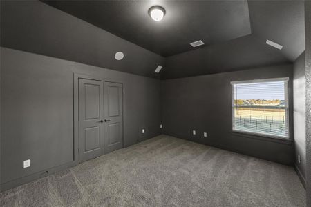 New construction Single-Family house 5209 Midnight Ct, Parker, TX 75002 Custom Plan- photo 25 25